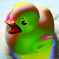 Funky Duck