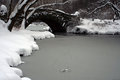 Central Park