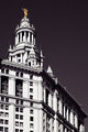 Municiple Building in NY City