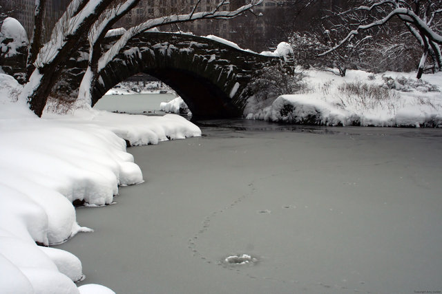 Central Park