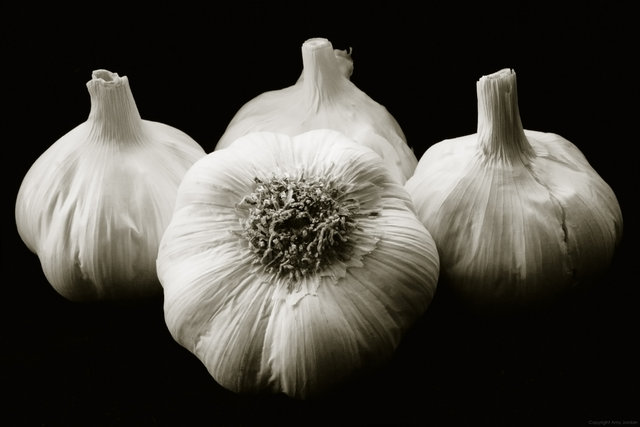 Garlic