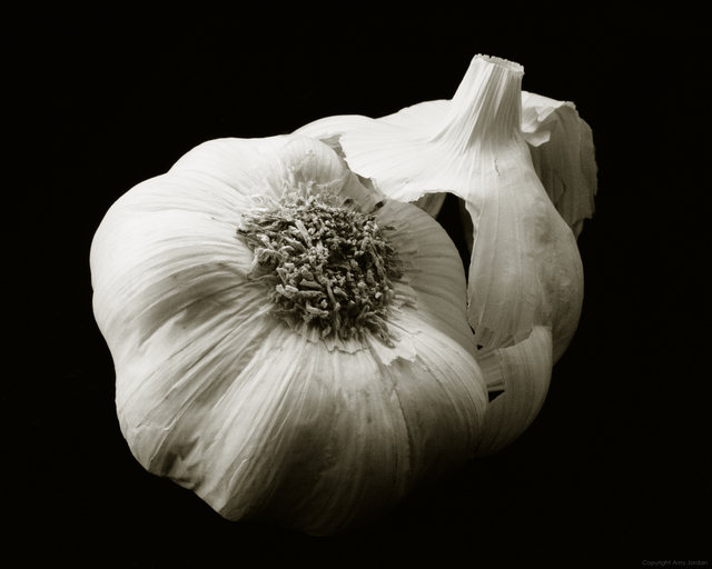 Garlic II