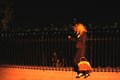Walk in the park