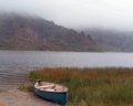 rolling fog.JPG