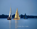 sailing 2