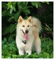 Mia in the grass2 600.jpg