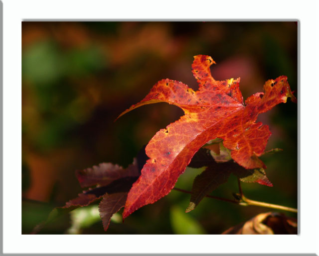PB016979_edited-1.jpg