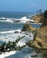 Oregon Coastline