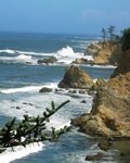 Oregon Coastline