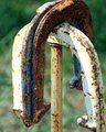 Horse Shoes on Target