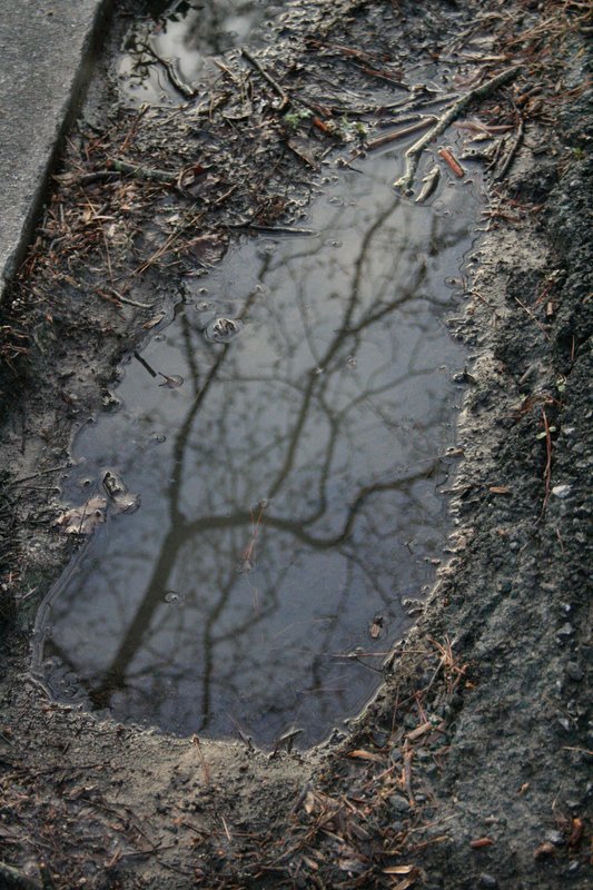 reflection I.jpg