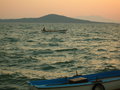 Fisherman in the Distance