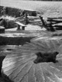 Millstones