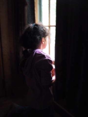 Looking out on Morning