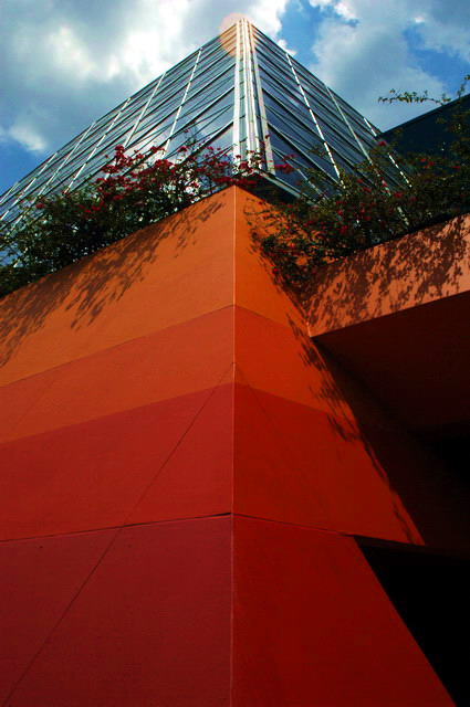 Looking Up