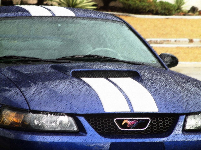 Mustang