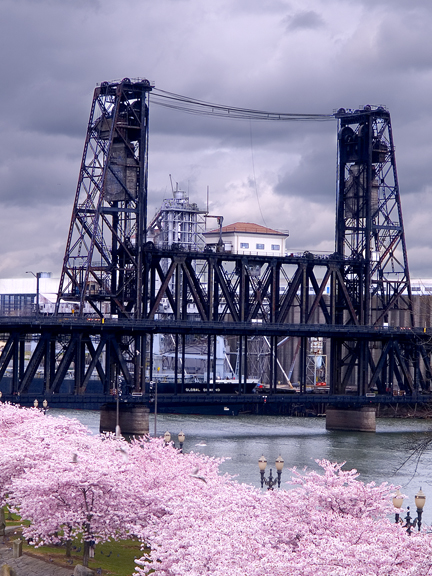 CherryBlossomBridgeLR.jpg