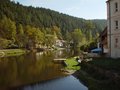 DSC01556.JPG