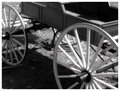heritage village.jpg