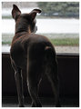 DSC_0104a.jpg