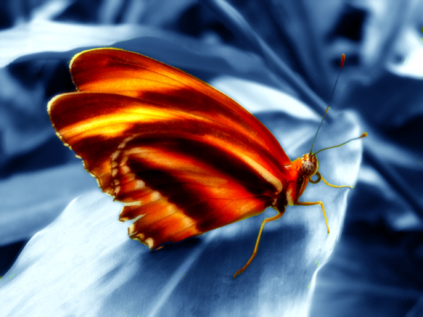 PICT0027.jpg