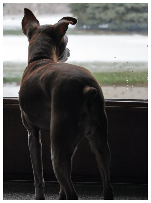 DSC_0104a.jpg