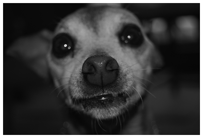 DSC_0105.jpg