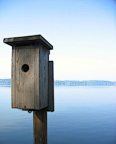 Waterfront Property