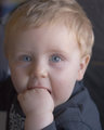 Kole.jpg