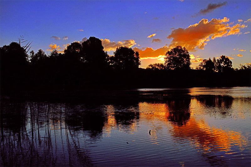 Bega Sunset