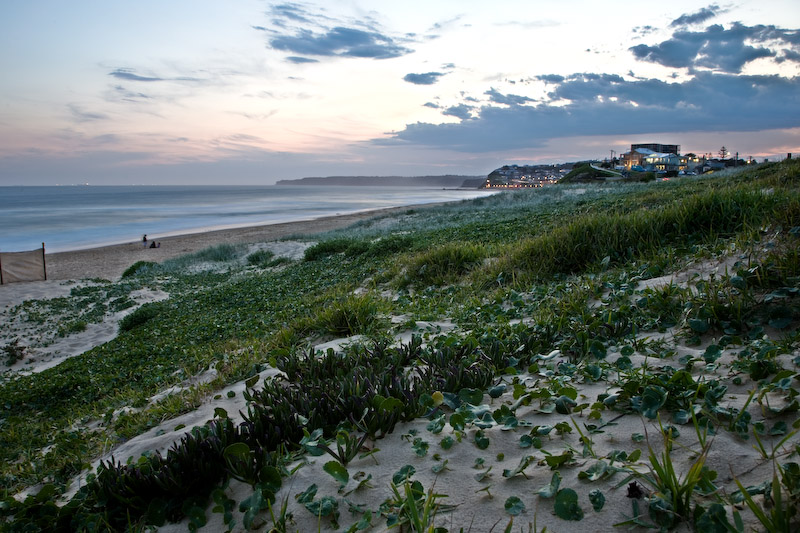 merewether evening.jpg