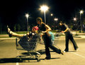 Photo 2 - The Competition