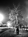 Day 03 (Sept 7)