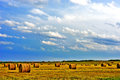 Field