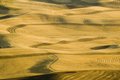 Pattern's on The Palouse