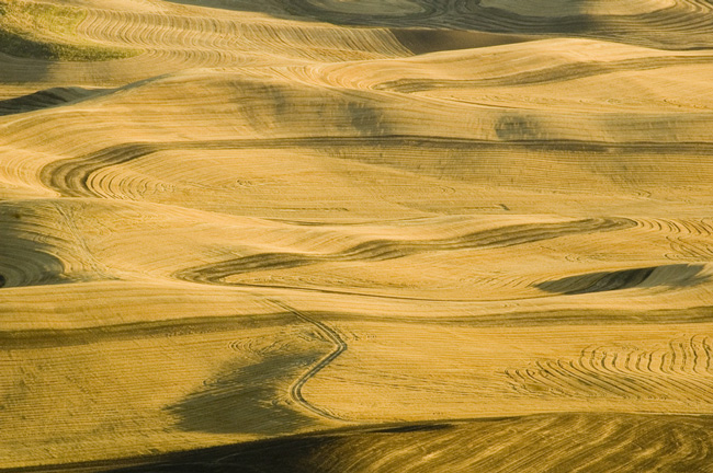 Pattern's on The Palouse