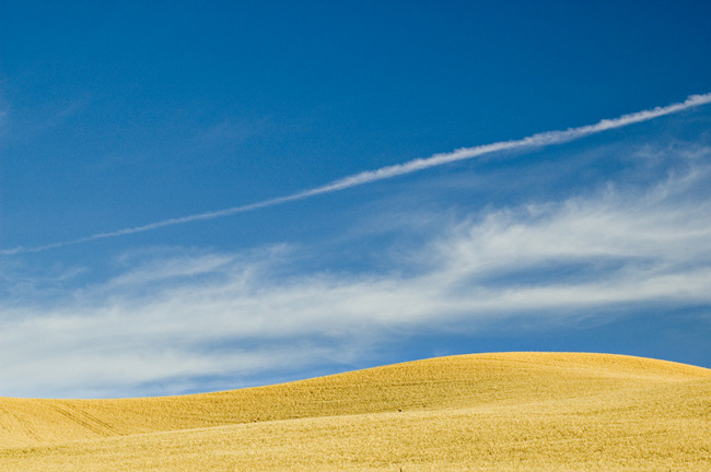 Waves of Grain