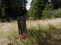 Ghost Town Gravesite