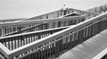DSC_3811-1bw.jpg