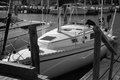 DSC_3972-1sm.jpg