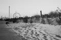 DSC_4021-1sm.jpg
