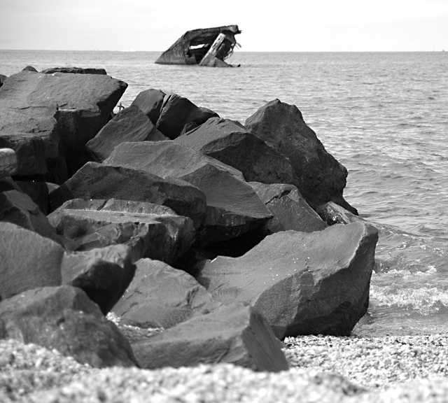 DSC_3784-1bw.jpg