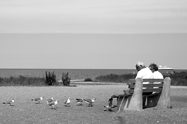 DSC_3790-1bw.jpg