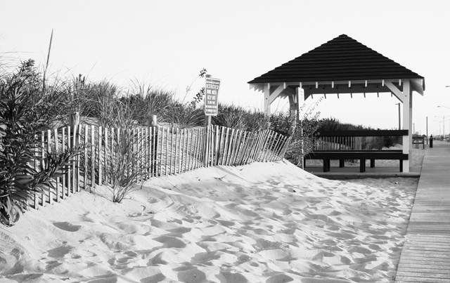 DSC_4024-1sm.jpg