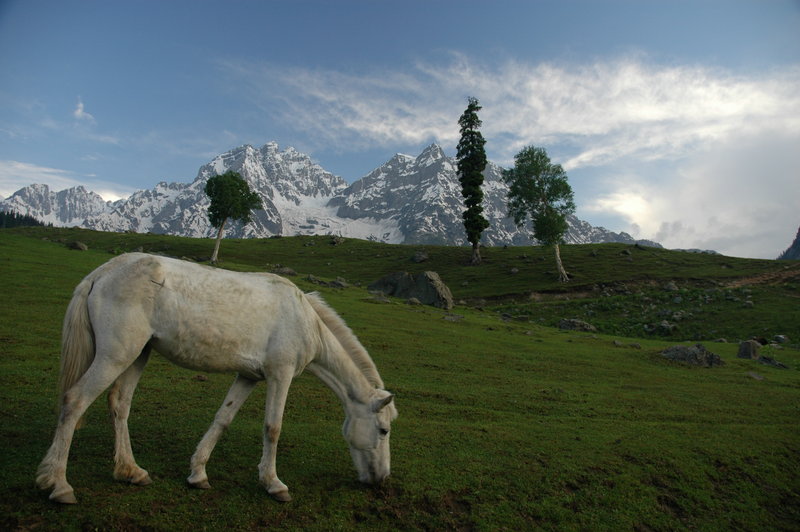 00029 Sonmarg.jpg