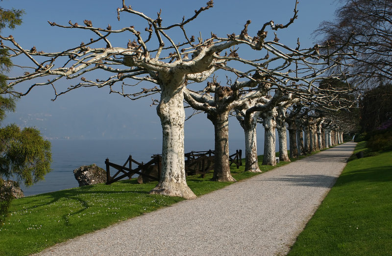 Villa Melzi - Bellagio, Italy