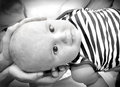 Cradle of Hands