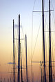 Masts in the Sunrise