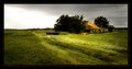Landscapes-Nov-2005-012-Hei.jpg
