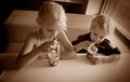 Indulge